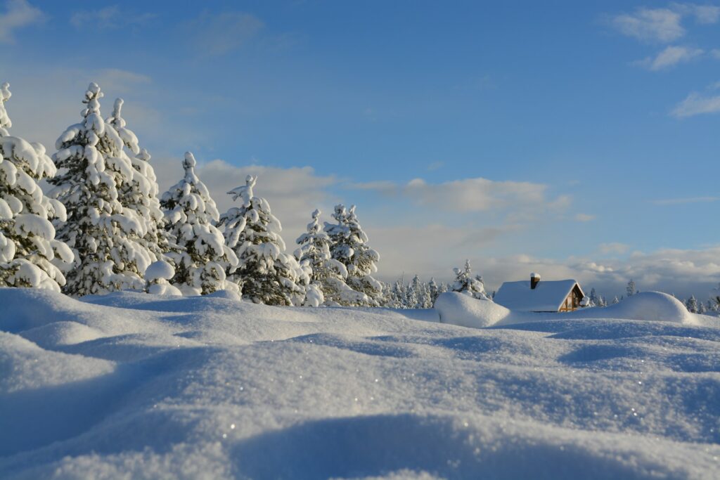 vinter